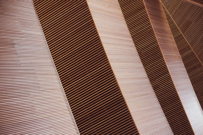 ryunosuke-kikuno-HjZqtFfec-w-unsplash ryunosuke-kikuno-HjZqtFfec-w-unsplash