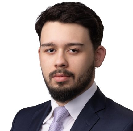 Luka Perovic_web